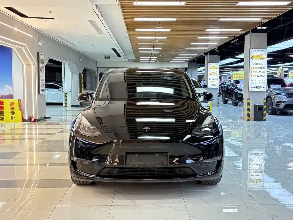 Tesla Model Y — фото 10