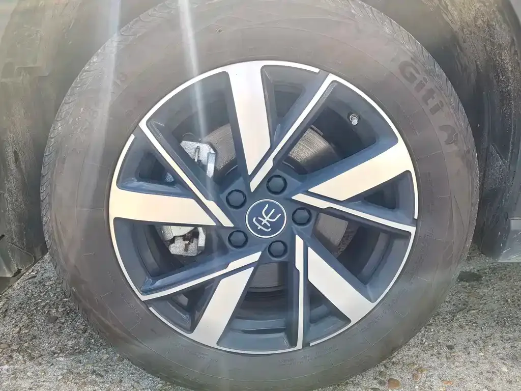 BYD Pro New Energy — фото 5