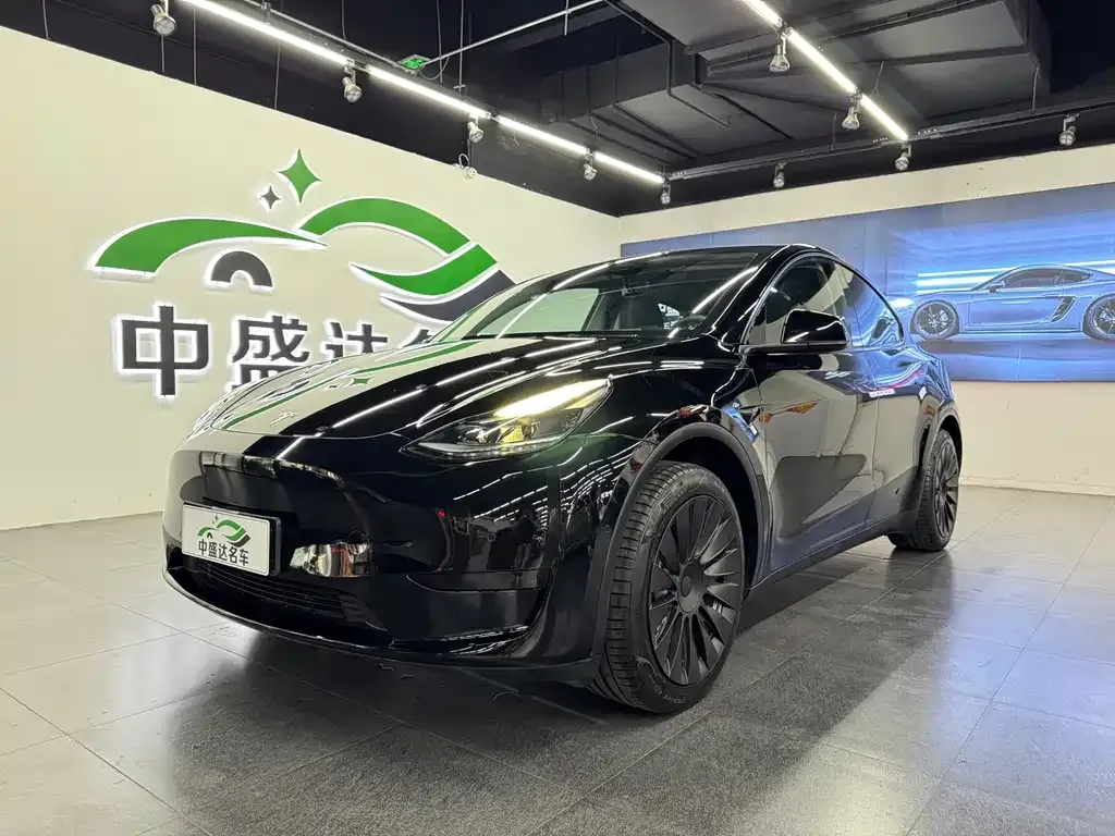 Tesla Model Y — фото 1