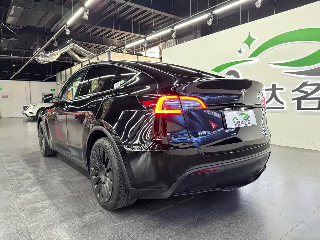 Tesla Model Y — фото 3