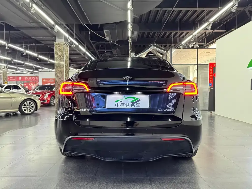 Tesla Model Y — фото 10