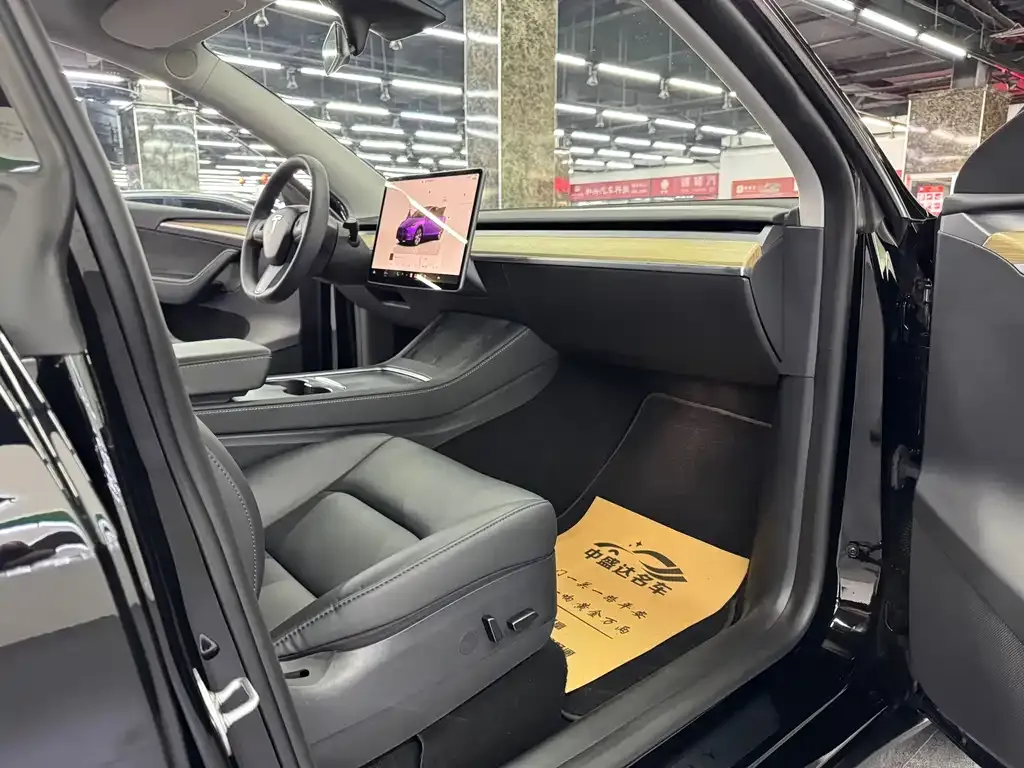 Tesla Model Y — фото 9