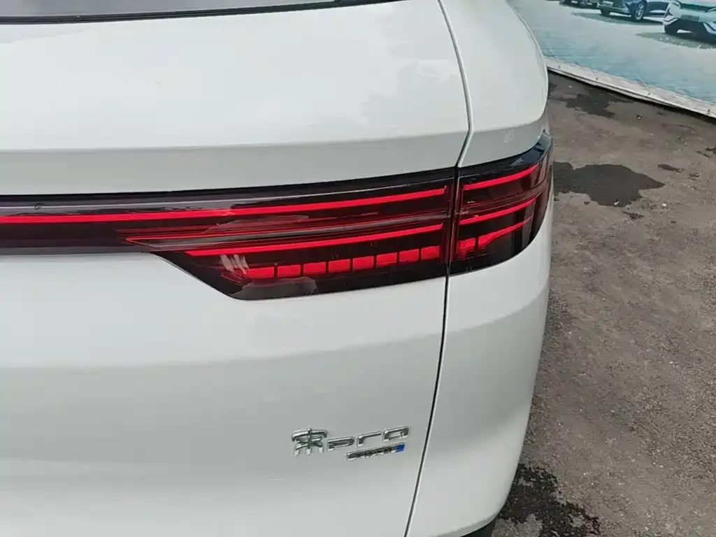 BYD Pro New Energy — фото 4