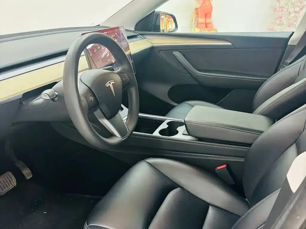 Tesla Model Y — фото 10