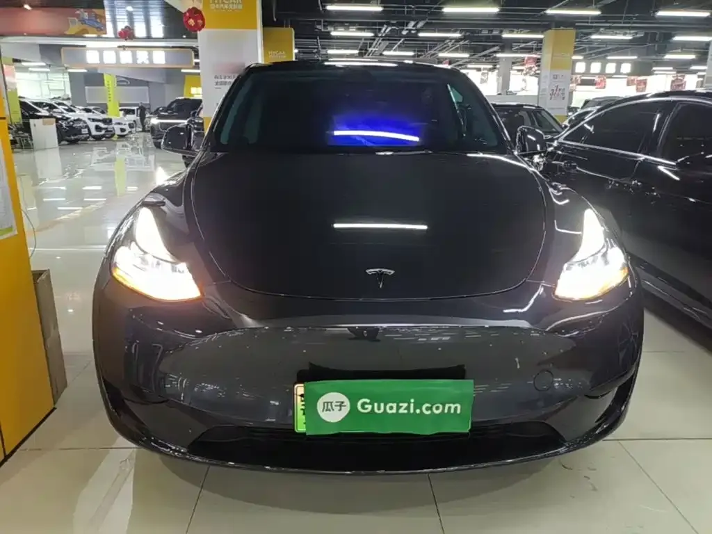 Tesla Model Y — фото 8