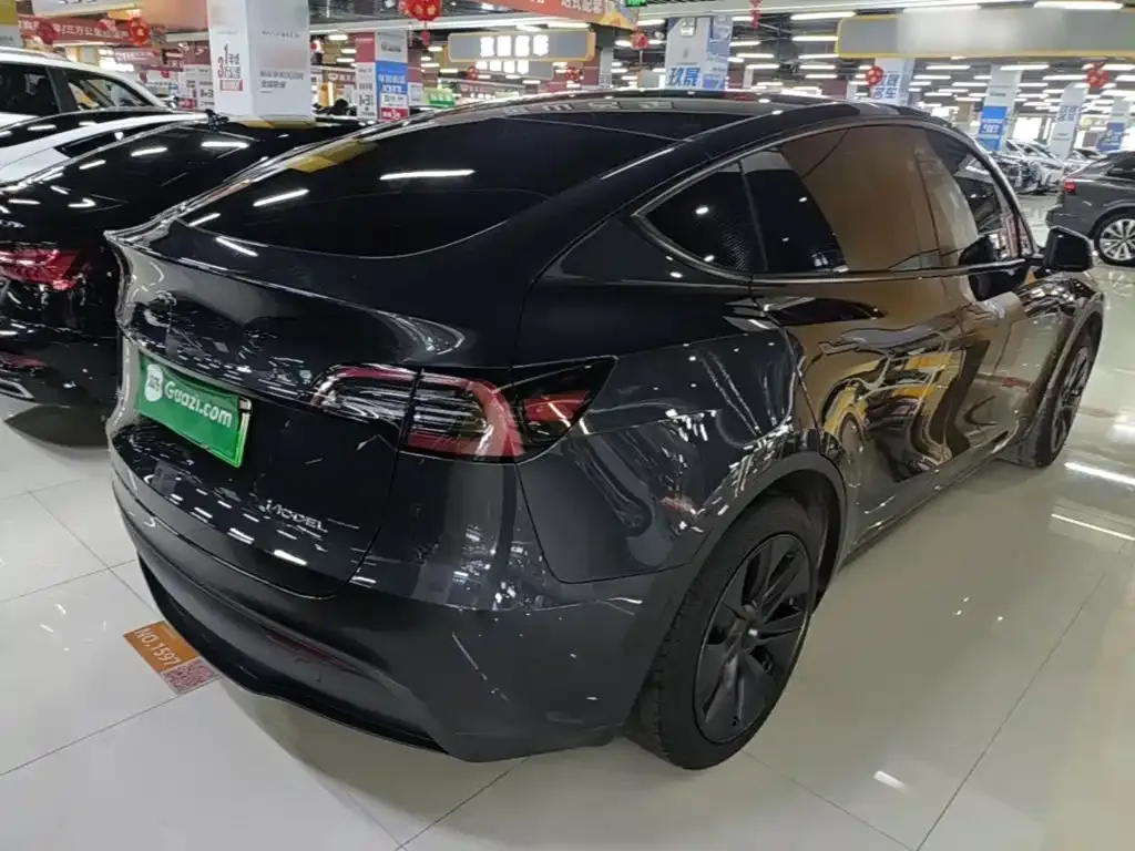 Tesla Model Y — фото 10