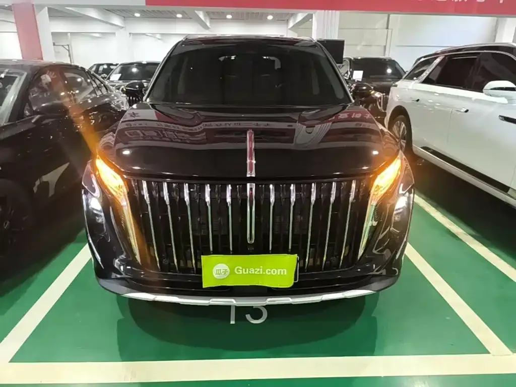 Hongqi HS7 PHEV — фото 6
