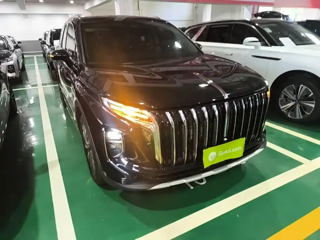 Hongqi HS7 PHEV — фото 5
