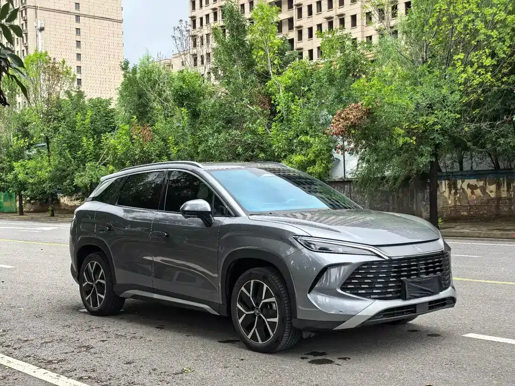 BYD L DM-i — фото 9