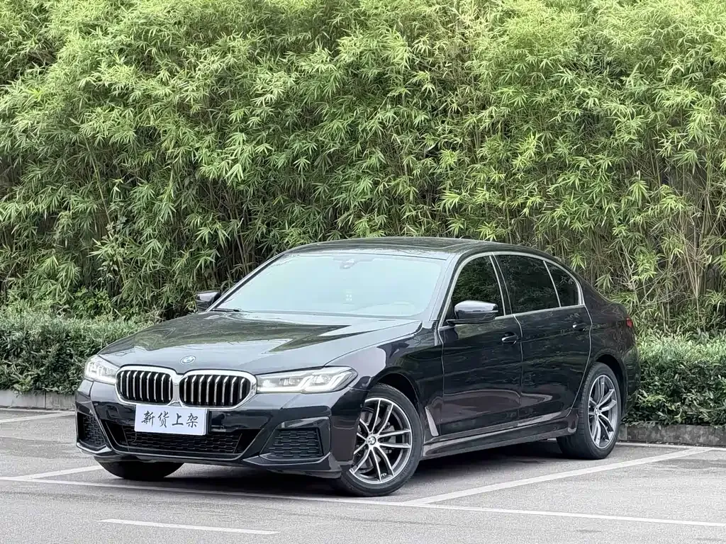 BMW 5 Series — фото 1