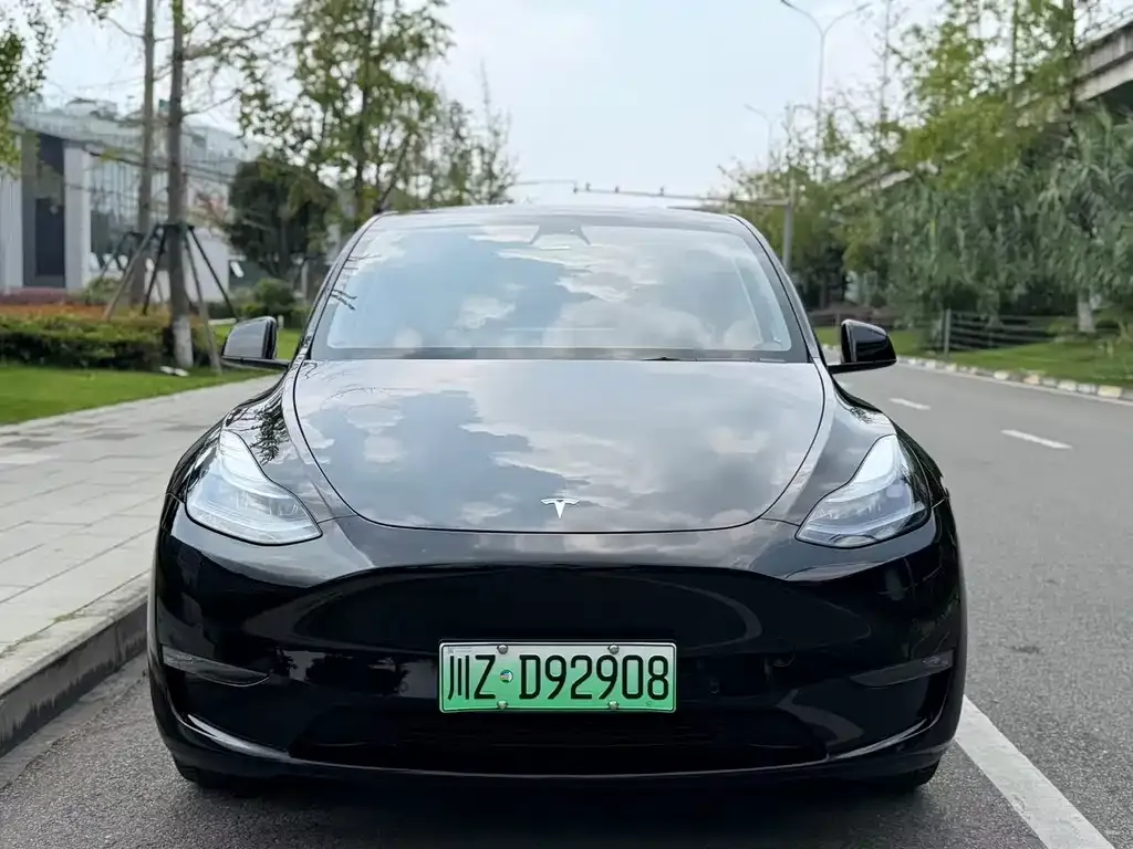 Tesla Model Y — фото 6