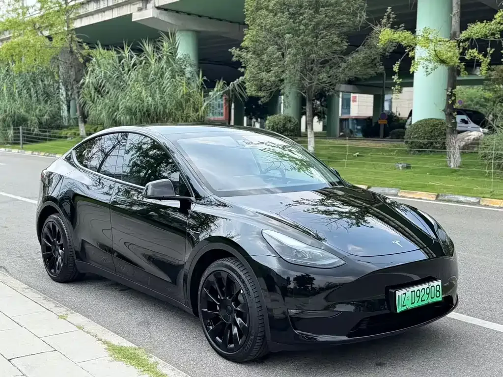 Tesla Model Y — фото 8