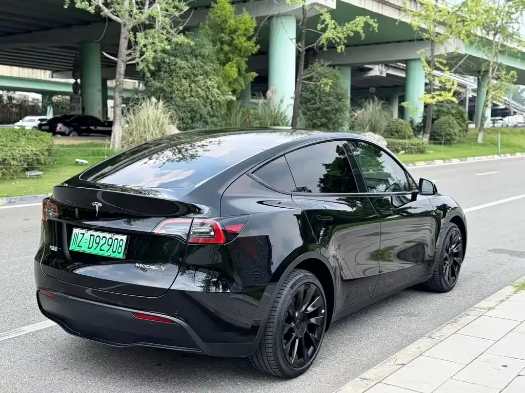 Tesla Model Y — фото 9