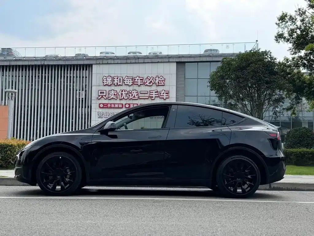 Tesla Model Y — фото 5