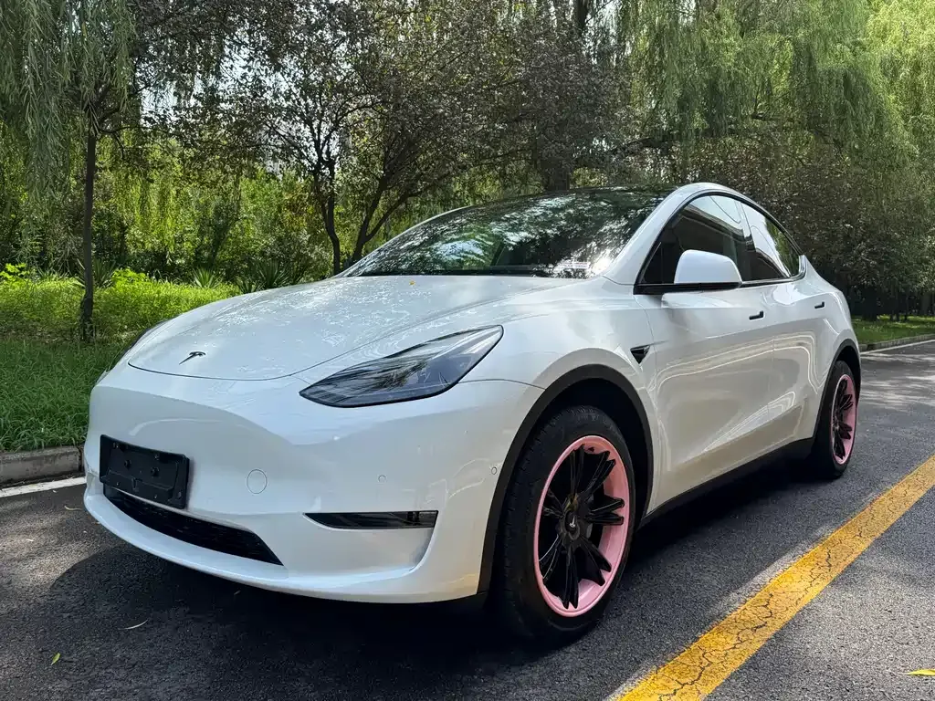 Tesla Model Y — фото 1