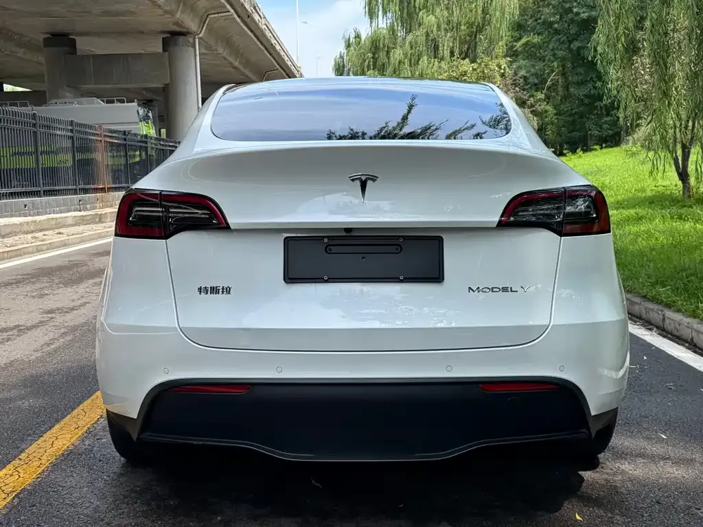 Tesla Model Y — фото 4