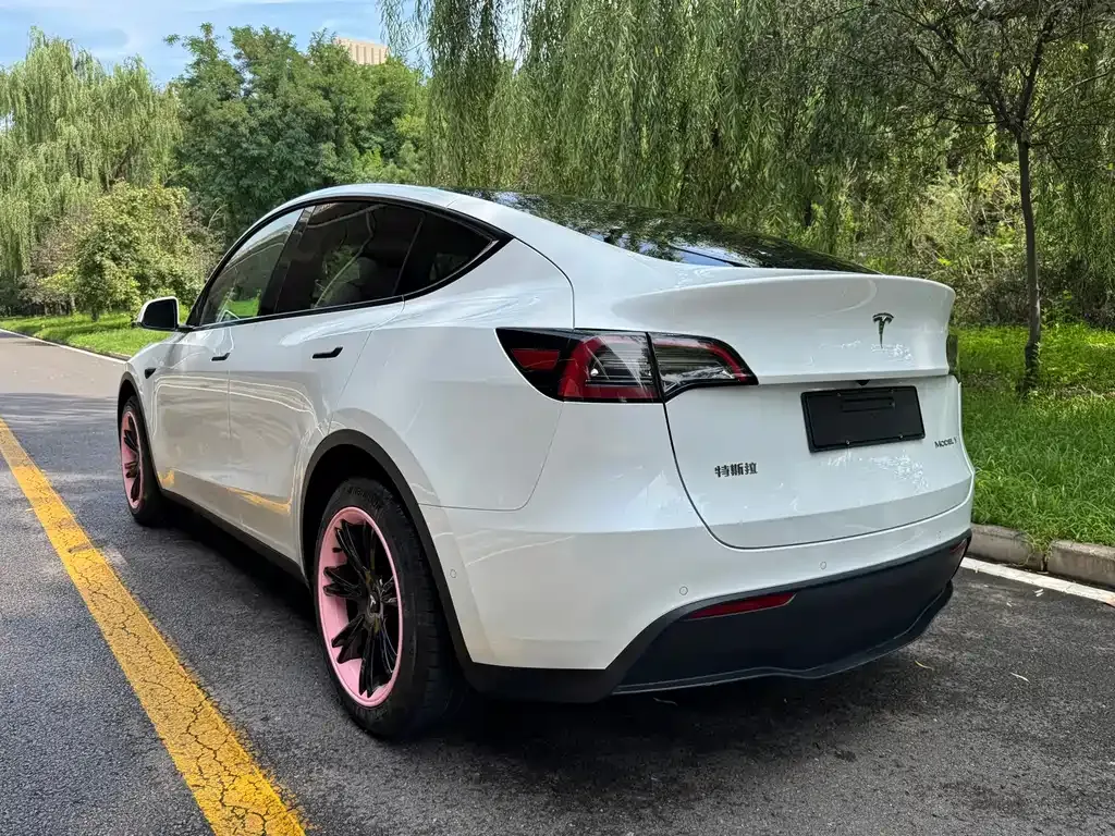 Tesla Model Y — фото 10
