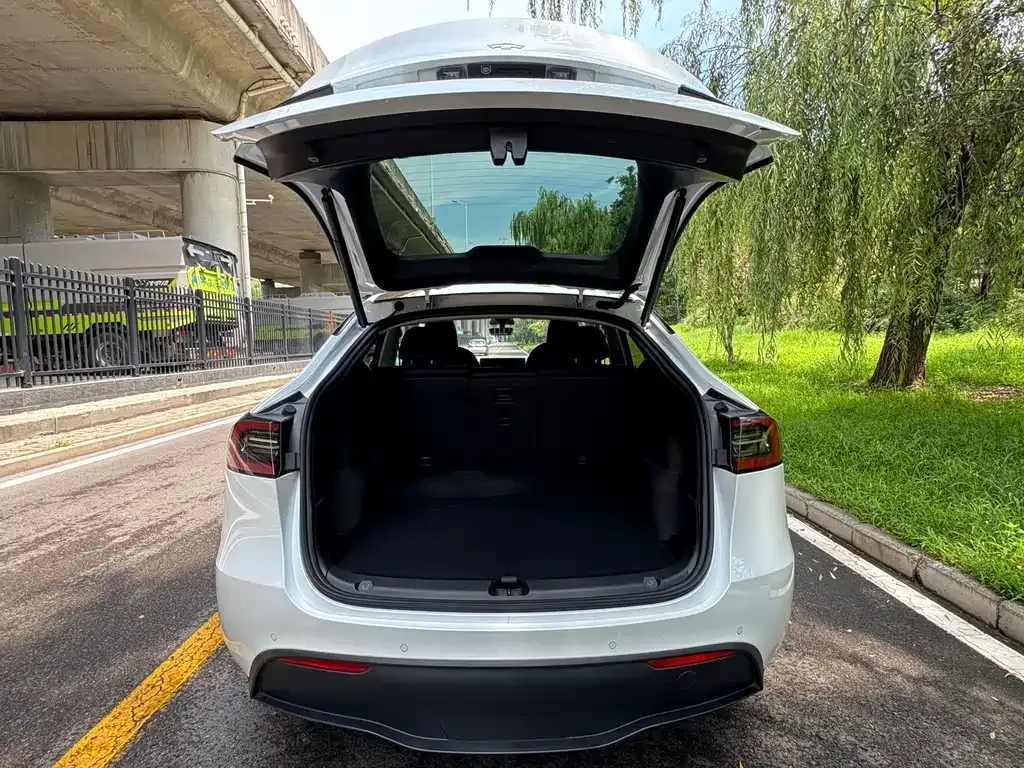 Tesla Model Y — фото 8