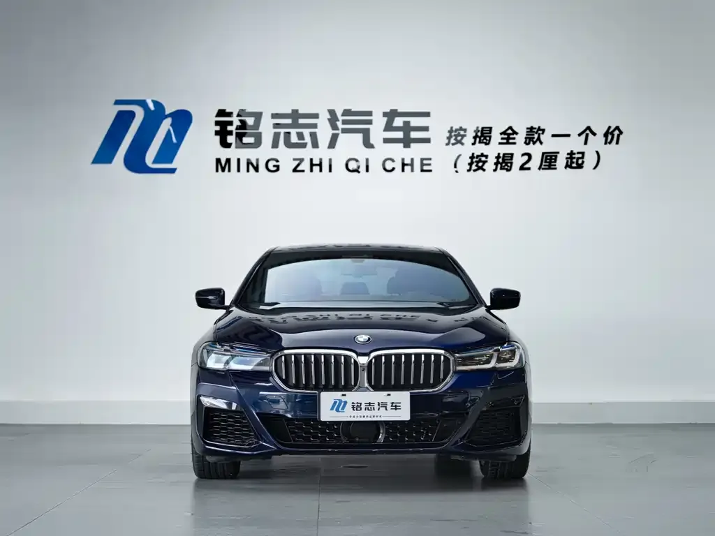 BMW 5 Series (Import) — фото 6
