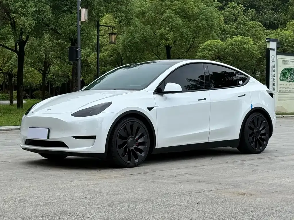 Tesla Model Y — фото 1