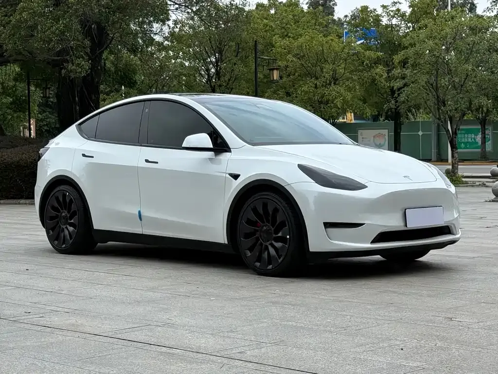 Tesla Model Y — фото 10