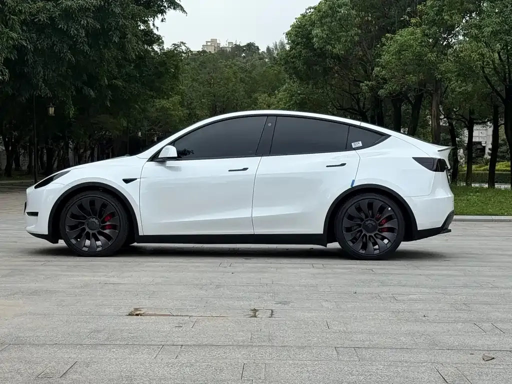 Tesla Model Y — фото 6