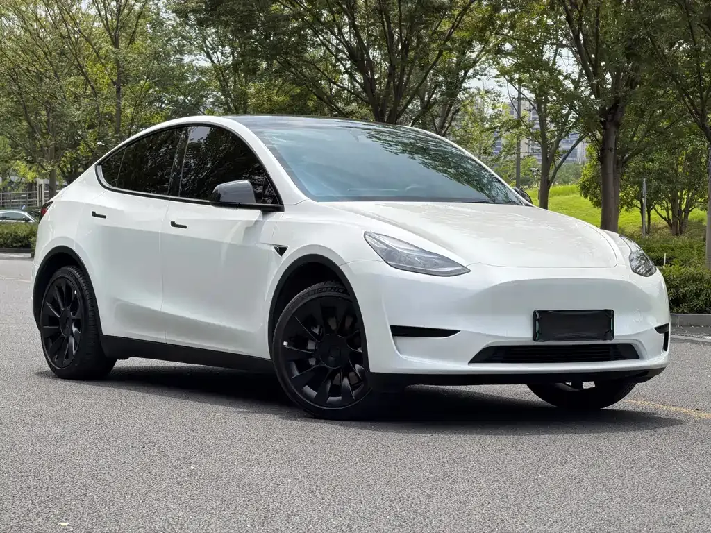 Tesla Model Y — фото 10