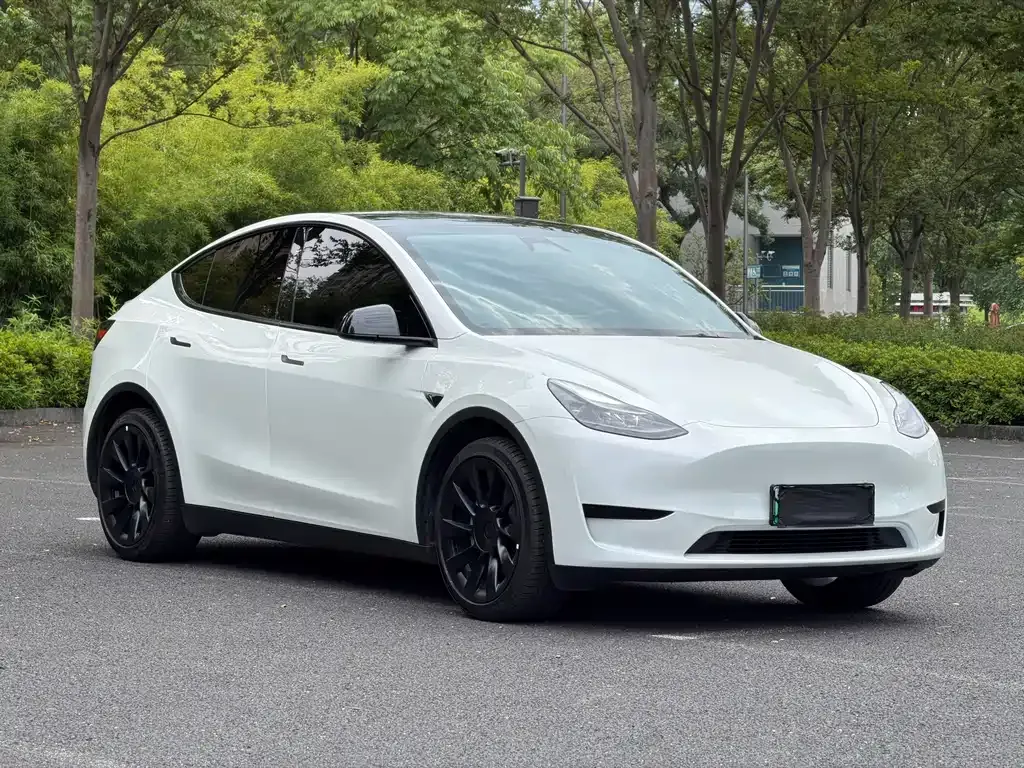 Tesla Model Y — фото 7