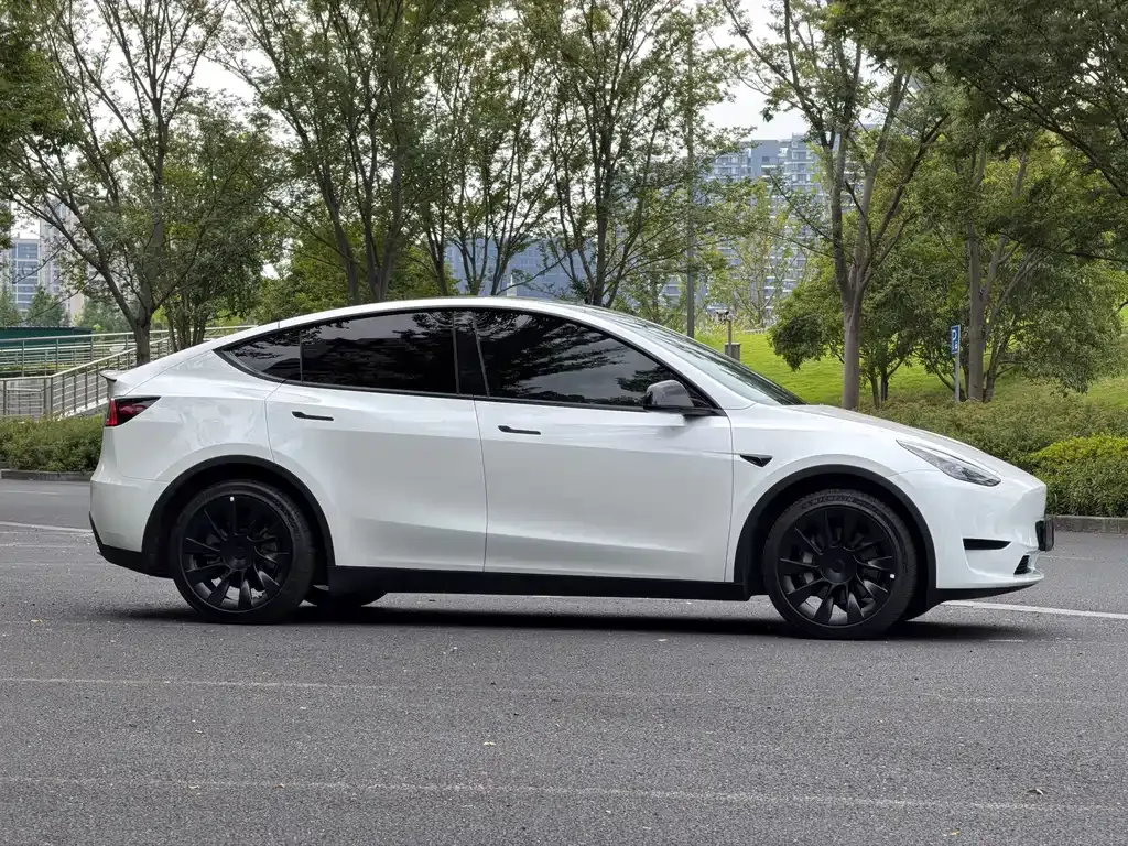 Tesla Model Y — фото 8