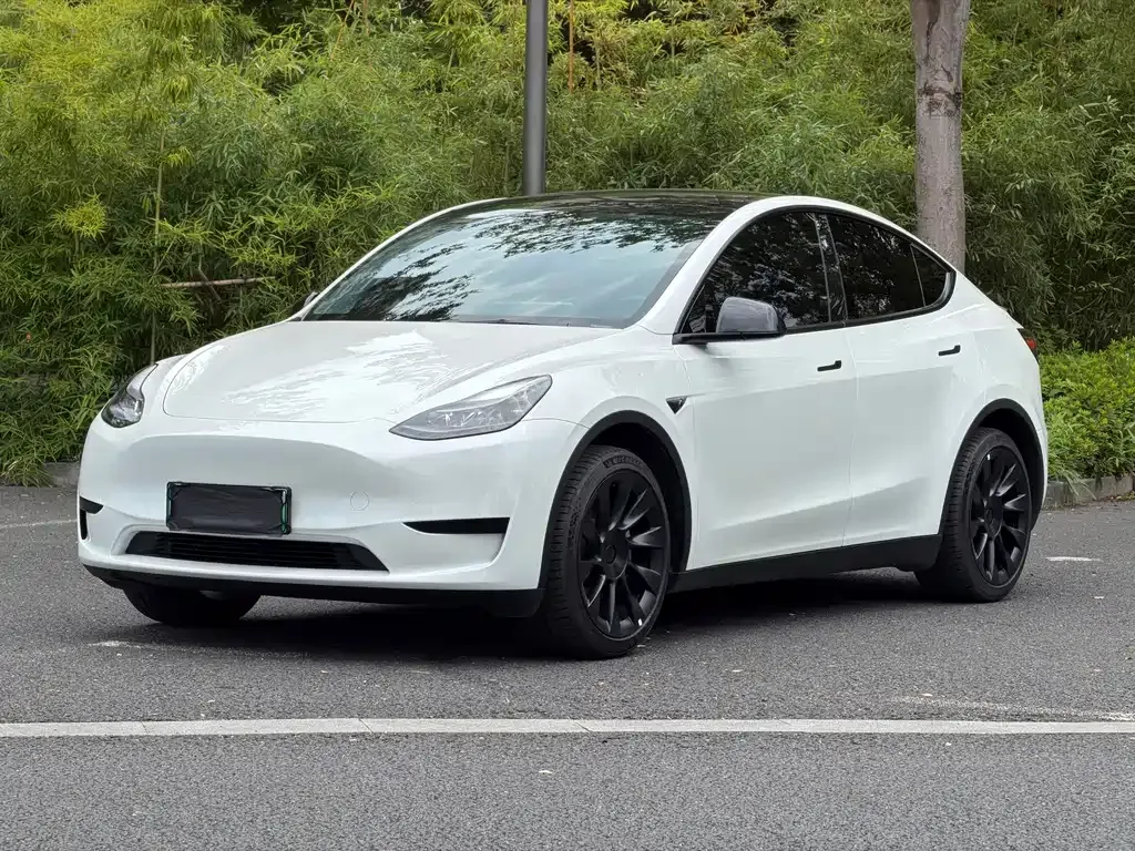 Tesla Model Y — фото 9