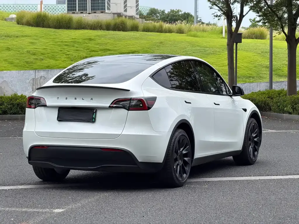Tesla Model Y — фото 5