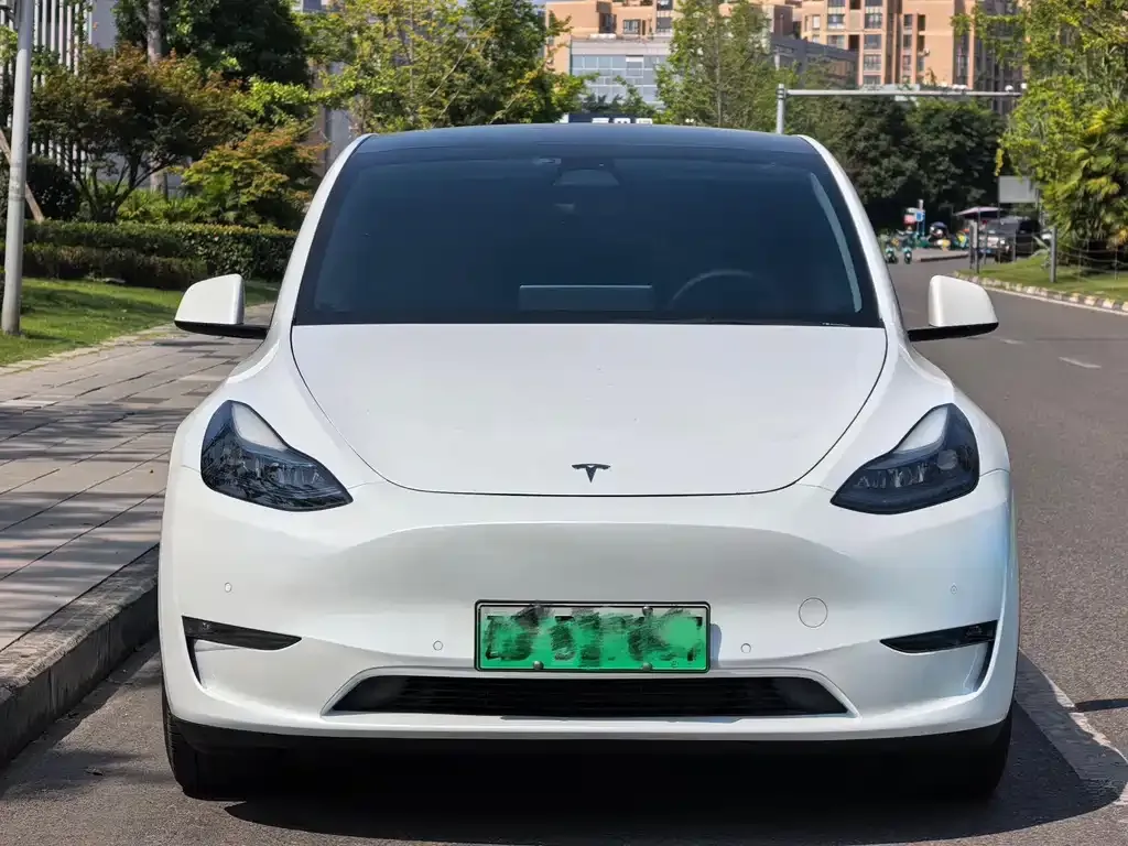 Tesla Model Y — фото 8