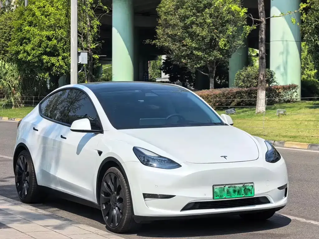 Tesla Model Y — фото 6