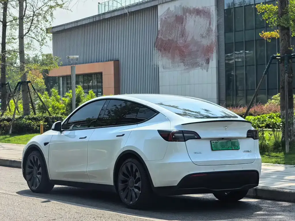 Tesla Model Y — фото 9