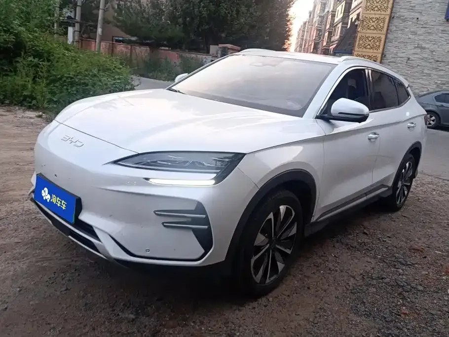 BYD PLUS New Energy — фото 1