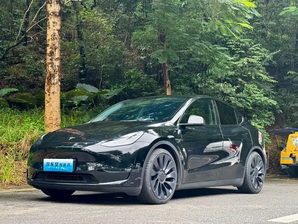 Tesla Model Y — фото 1