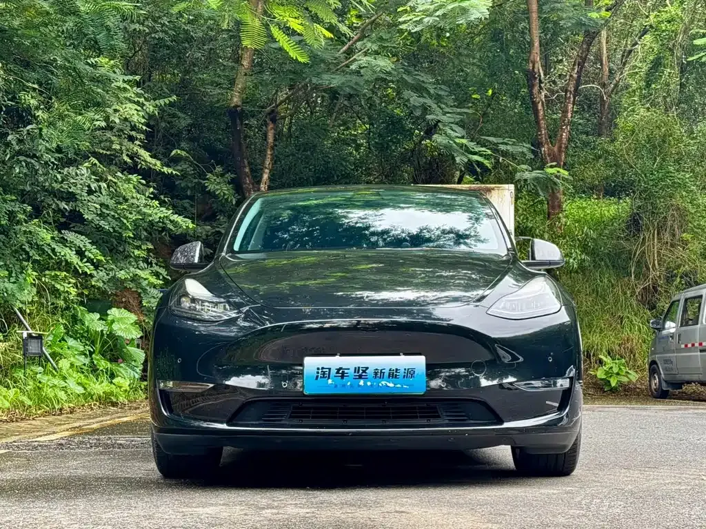 Tesla Model Y — фото 9