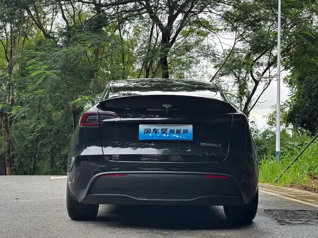 Tesla Model Y — фото 8