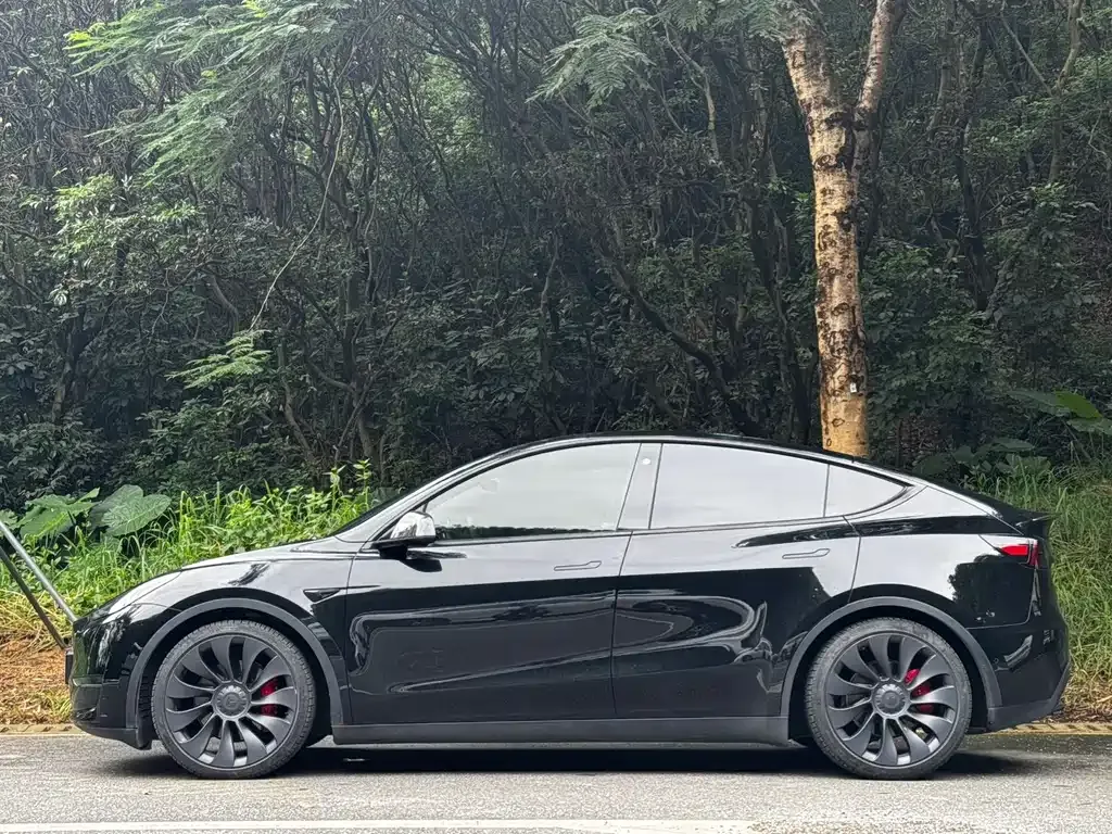 Tesla Model Y — фото 6