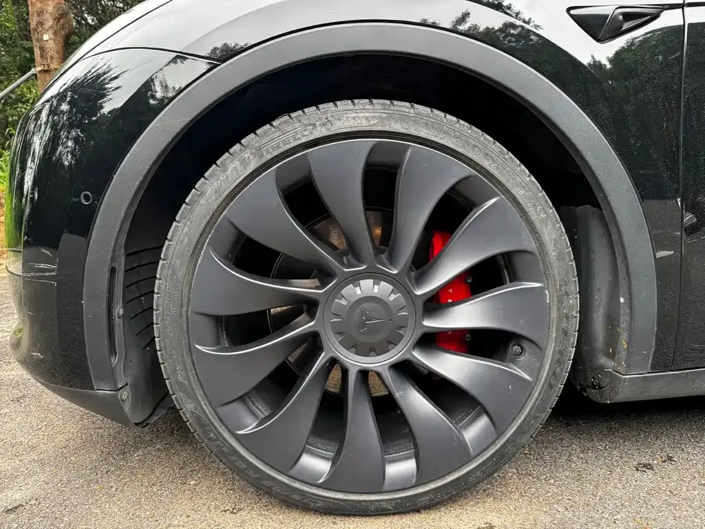 Tesla Model Y — фото 10