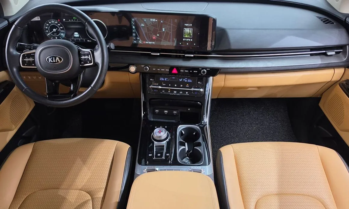 Kia Carnival — фото 10
