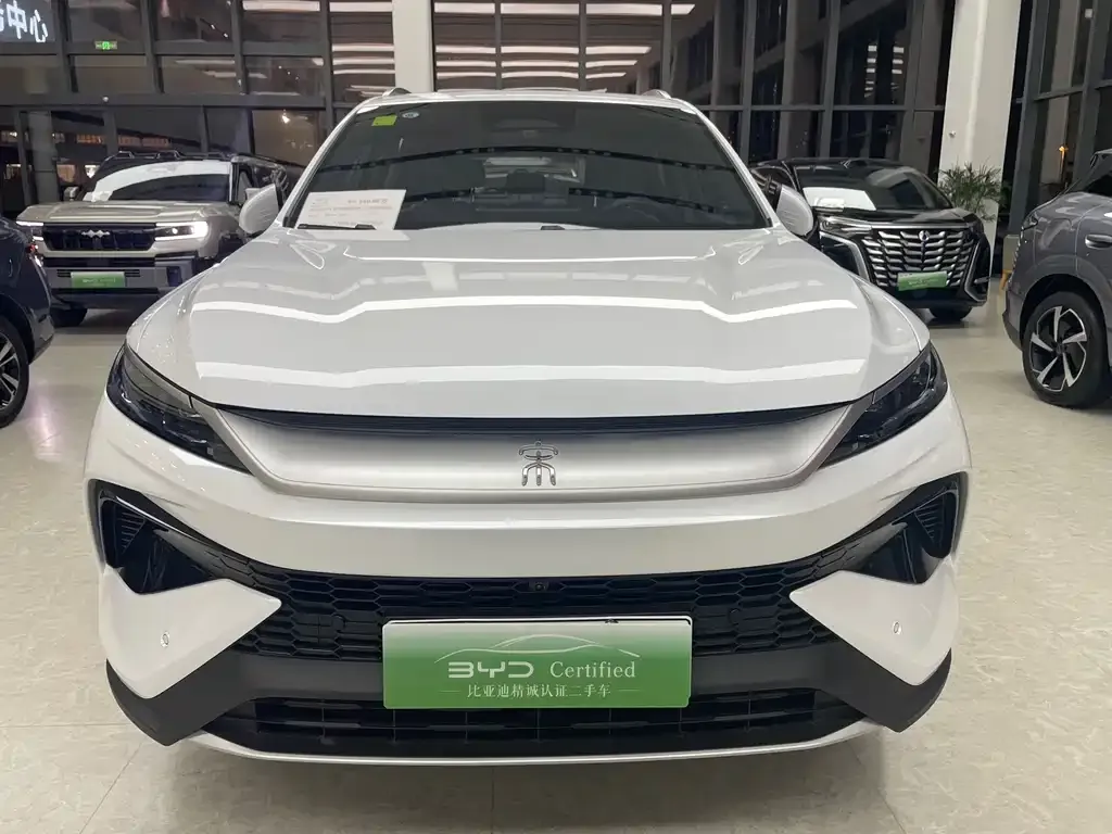 BYD Pro New Energy — фото 1
