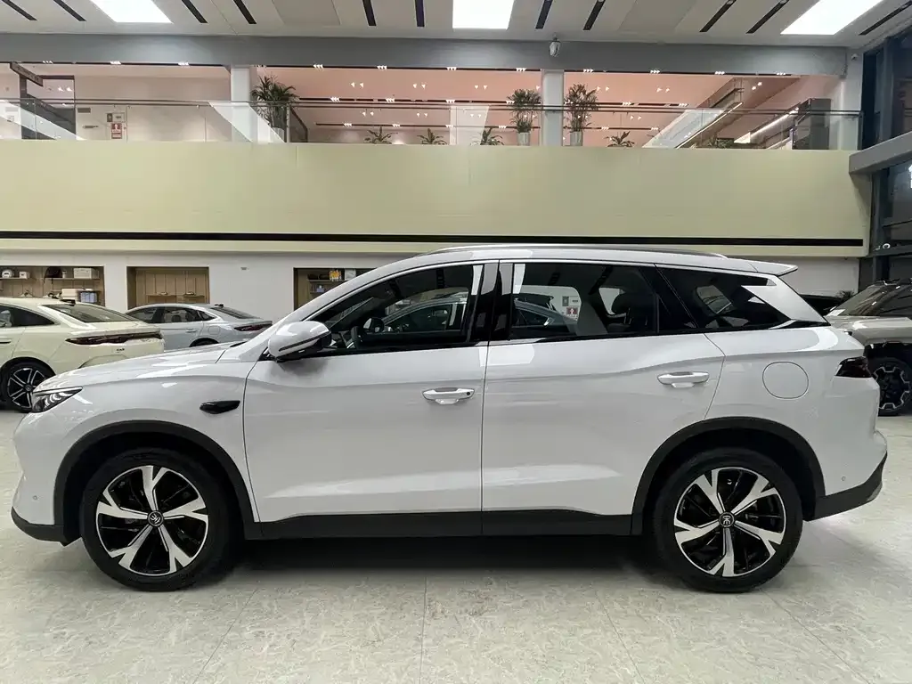 BYD Pro New Energy — фото 7