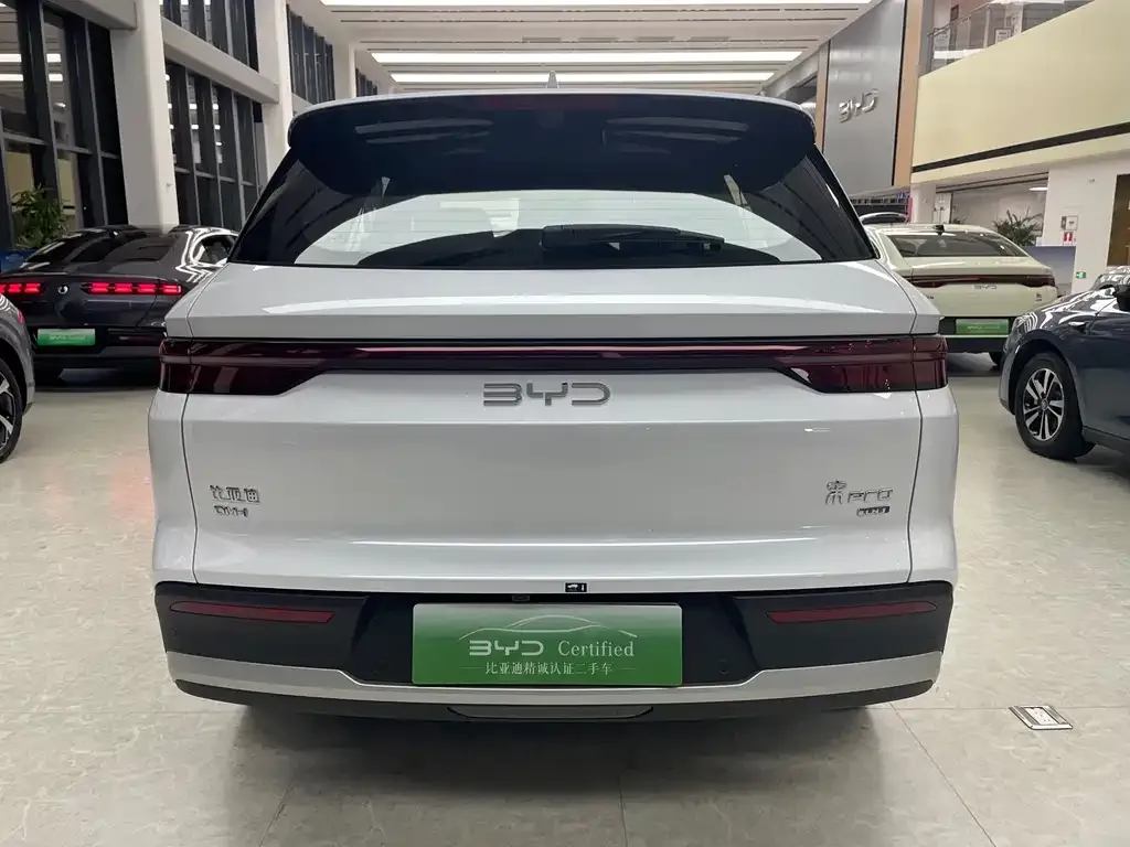 BYD Pro New Energy — фото 9