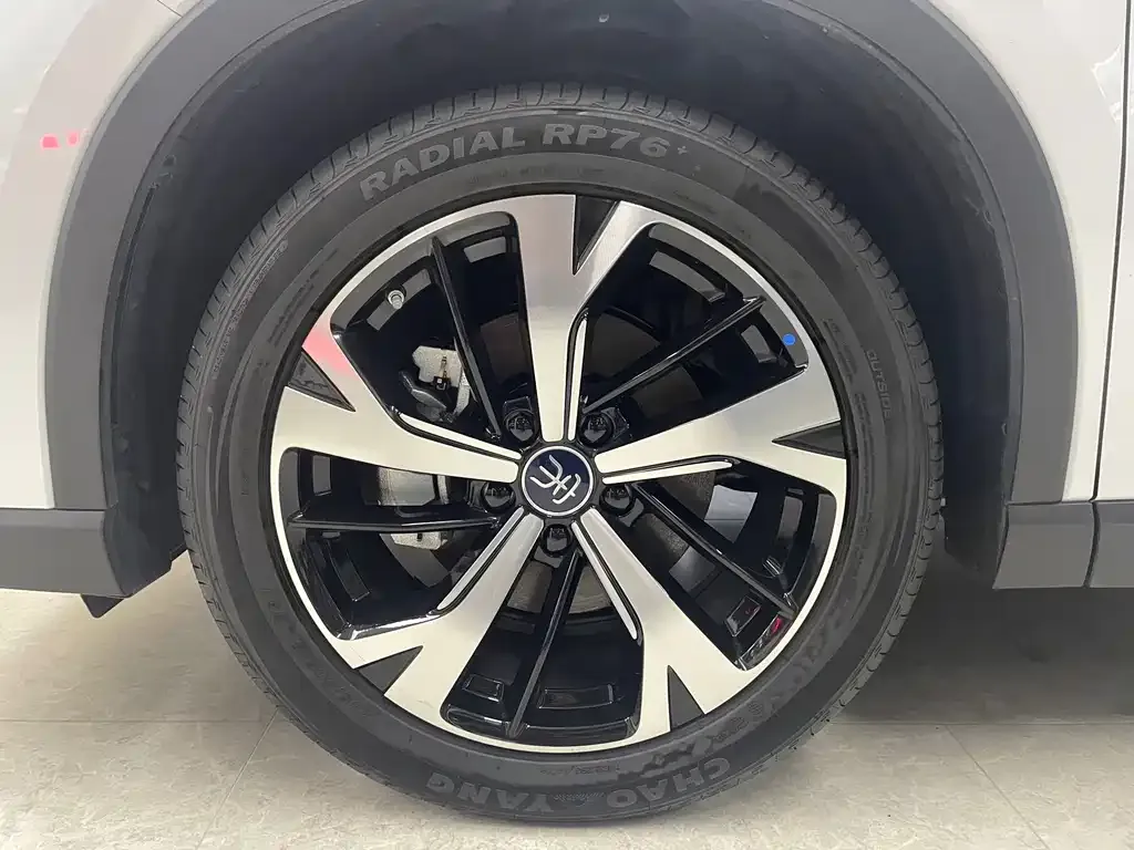 BYD Pro New Energy — фото 8
