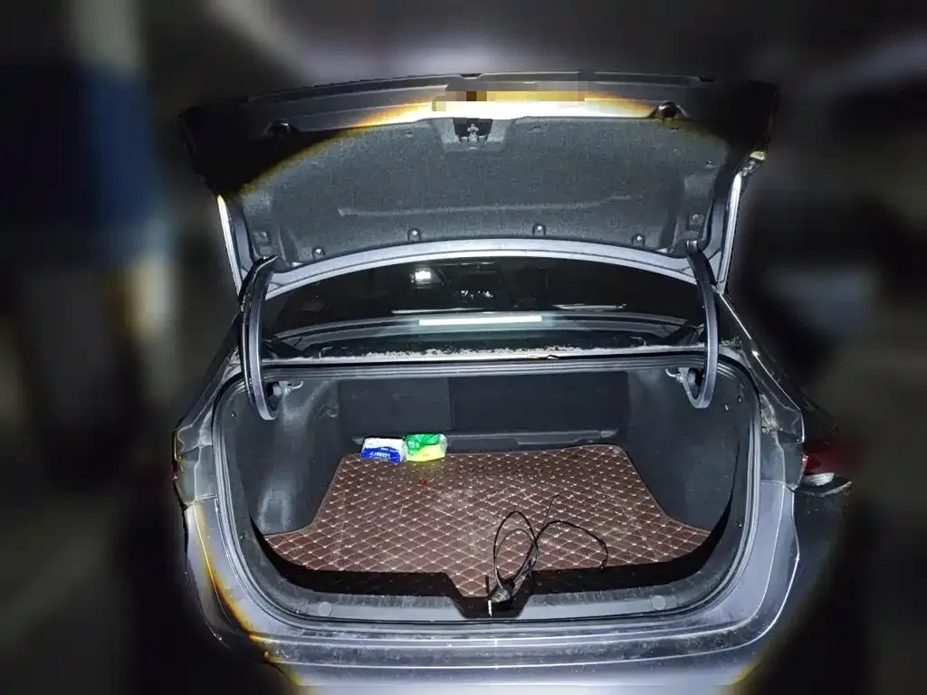 GAC Motor Shadow Leopard — фото 9