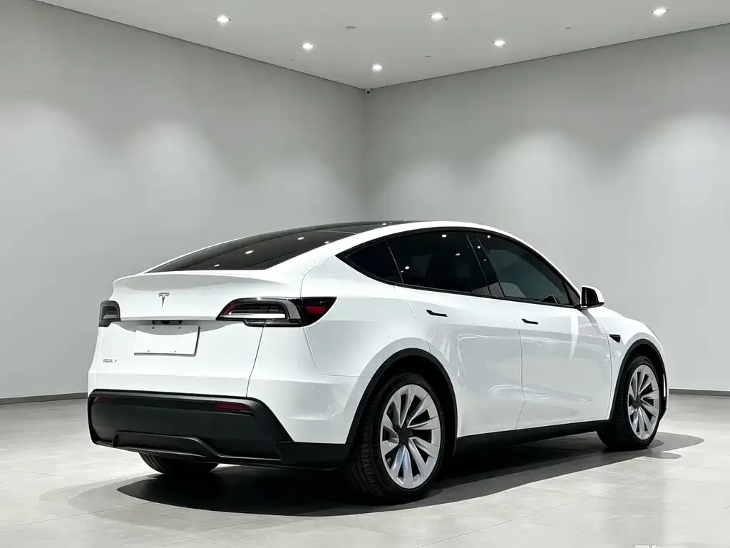 Tesla Model Y — фото 4