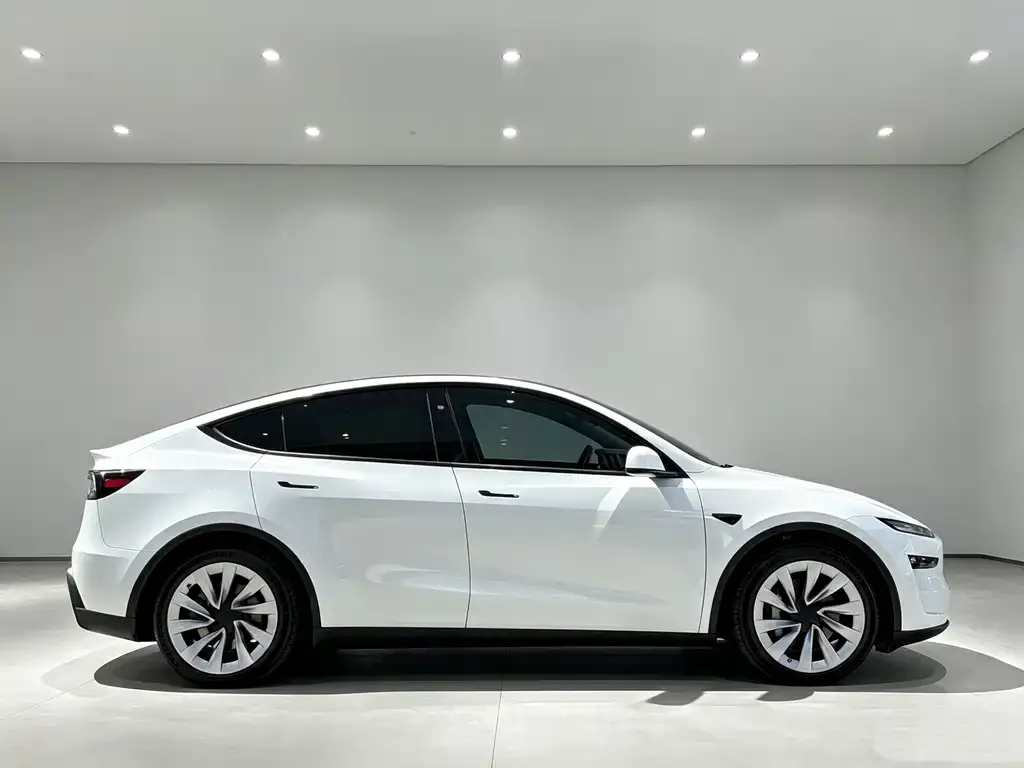 Tesla Model Y — фото 5