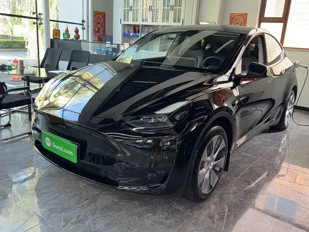 Tesla Model Y — фото 9