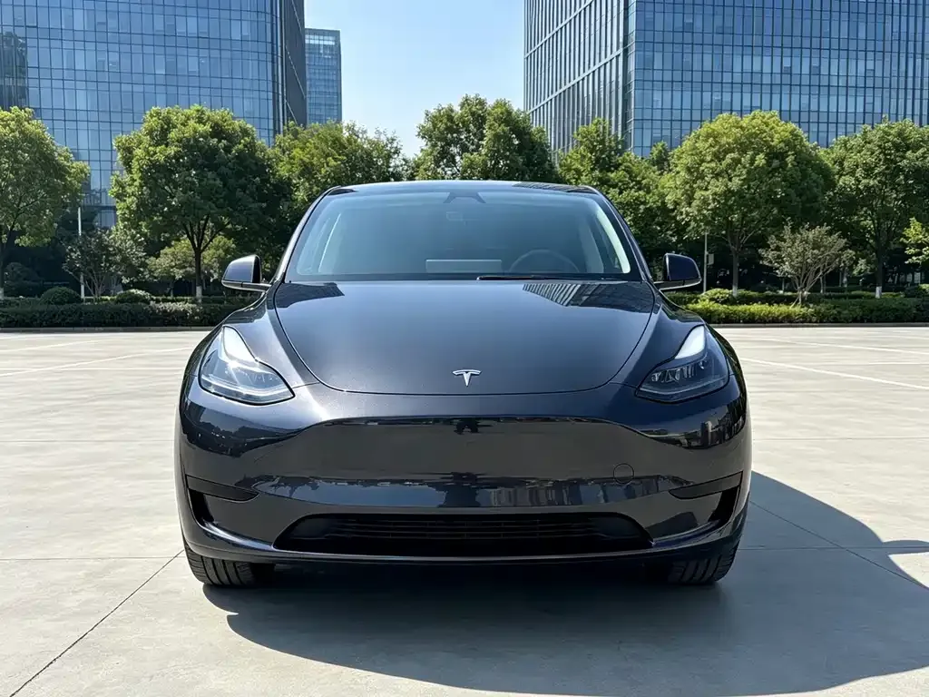 Tesla Model Y — фото 3